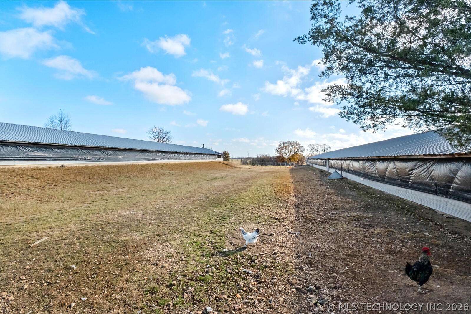 67298 4720 Road Westville OK 74965