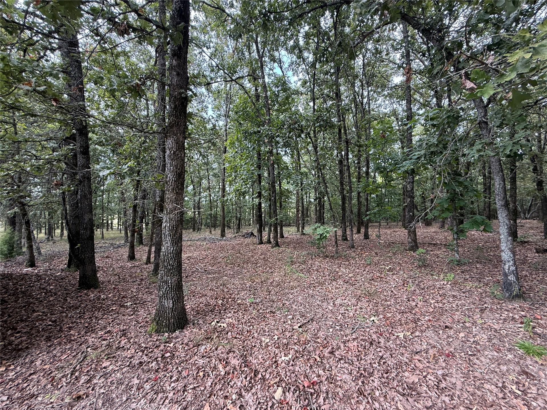 23572 E 770 Road Tahlequah OK 74464