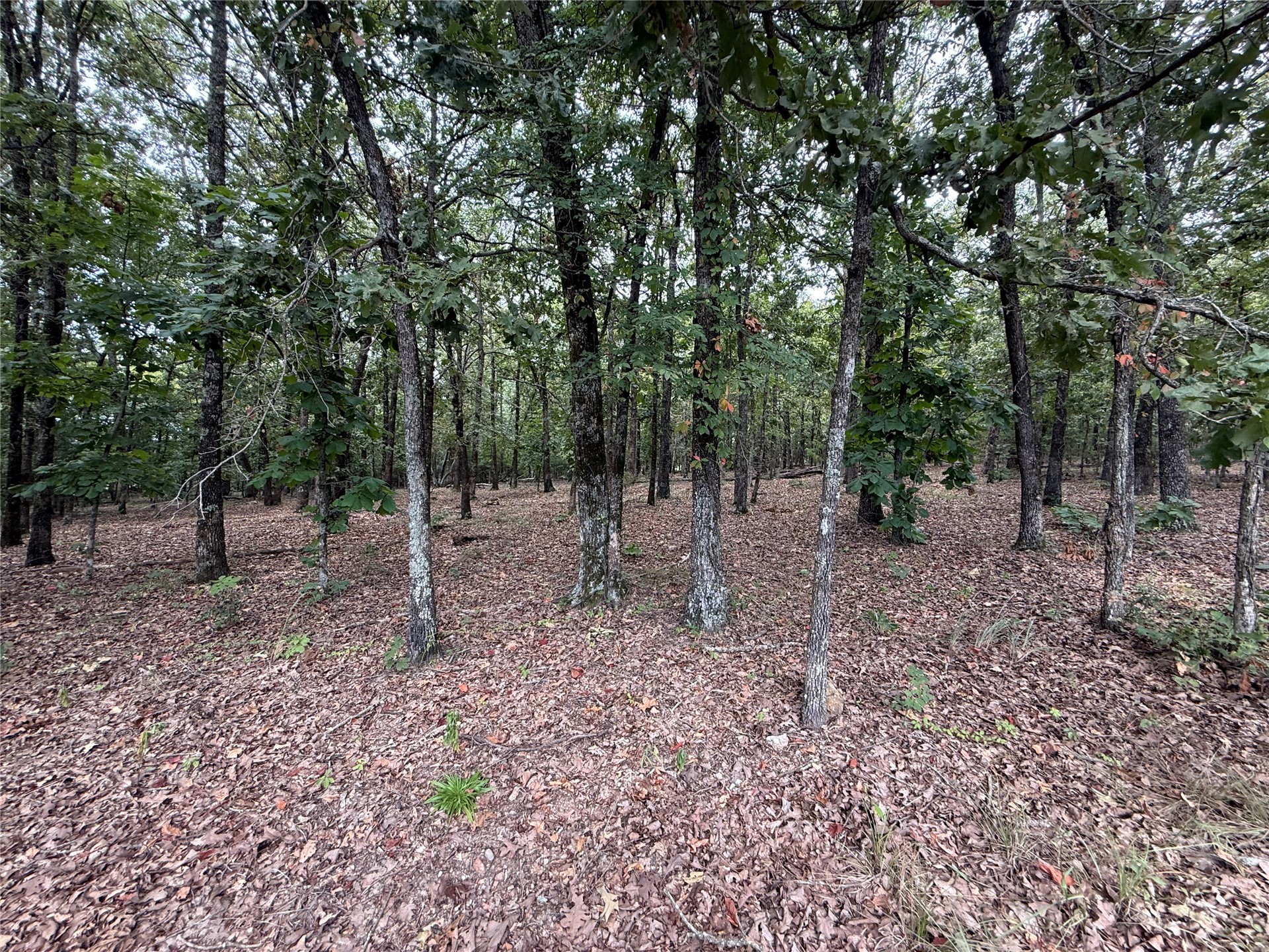23572 E 770 Road Tahlequah OK 74464