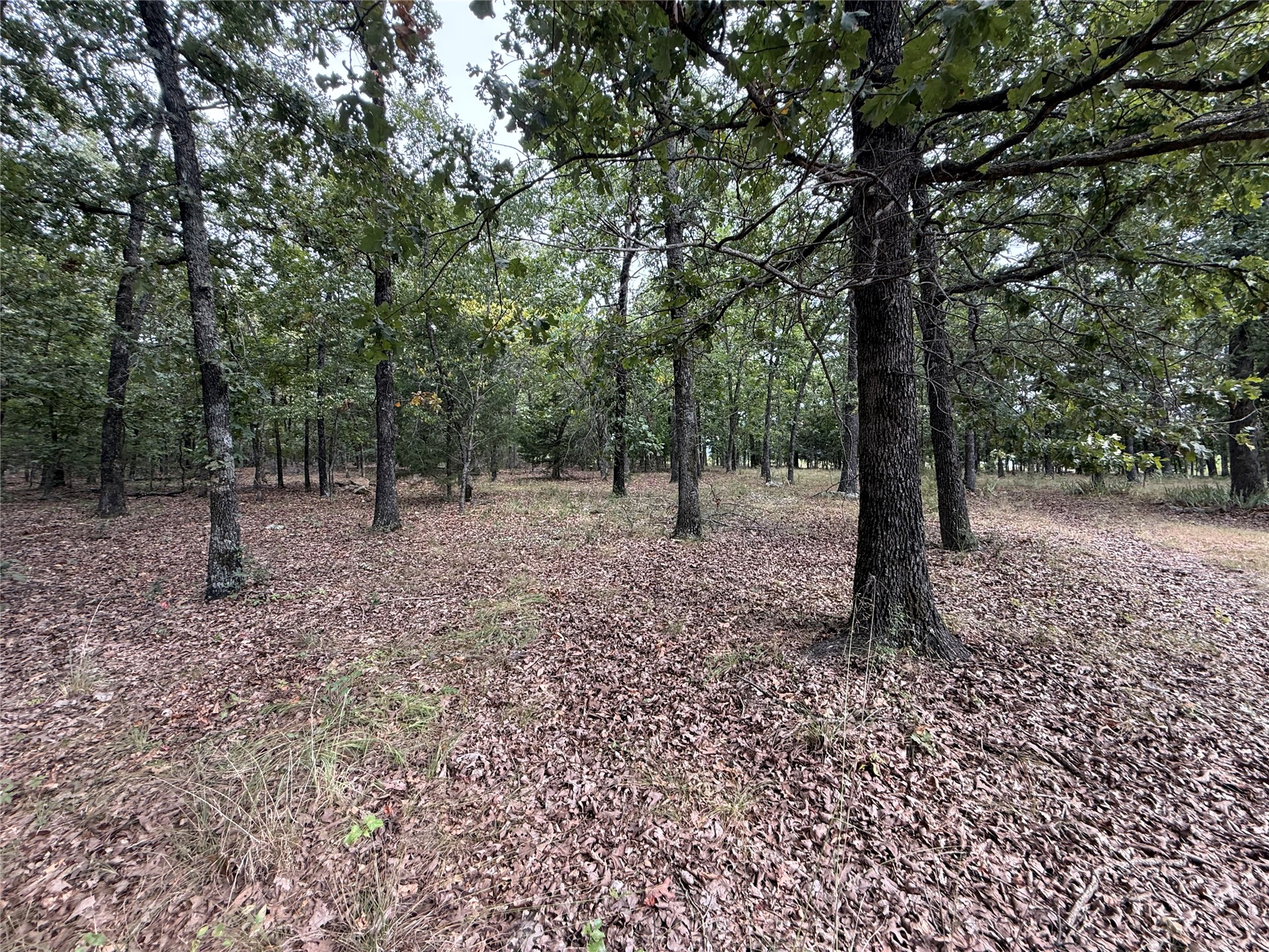 23572 E 770 Road Tahlequah OK 74464