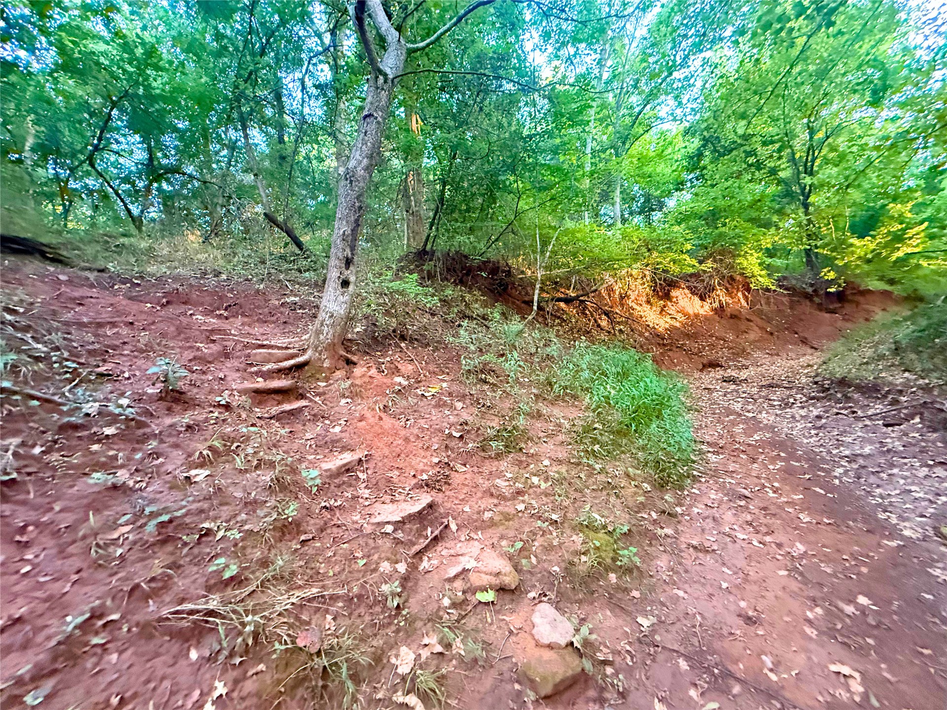 5819 N Matilda Drive Glencoe OK 74032