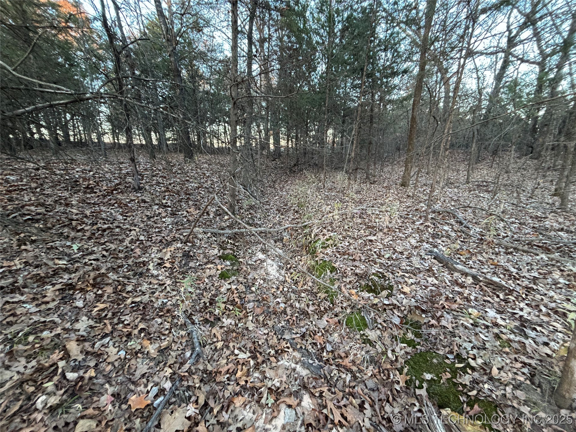 7977 Leavenworth Mead OK 73449