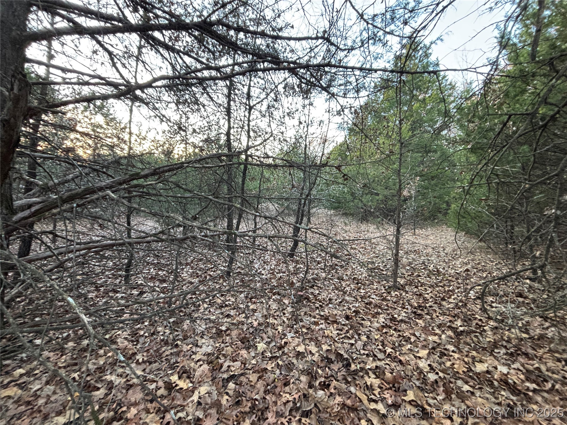 7977 Leavenworth Mead OK 73449