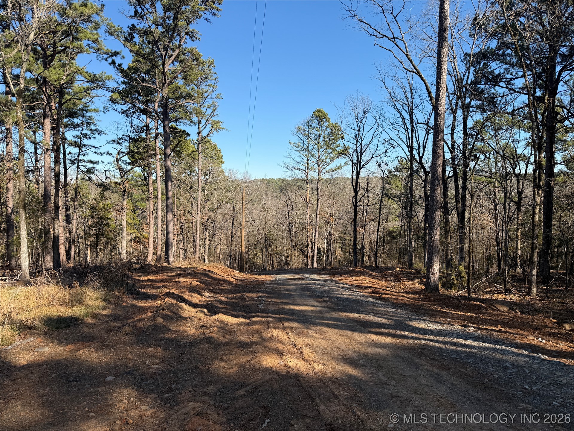 4 Goats Bluff Road Wister OK 74966