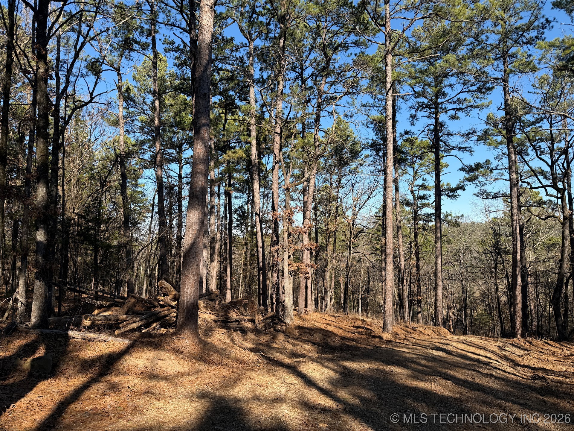 4 Goats Bluff Road Wister OK 74966