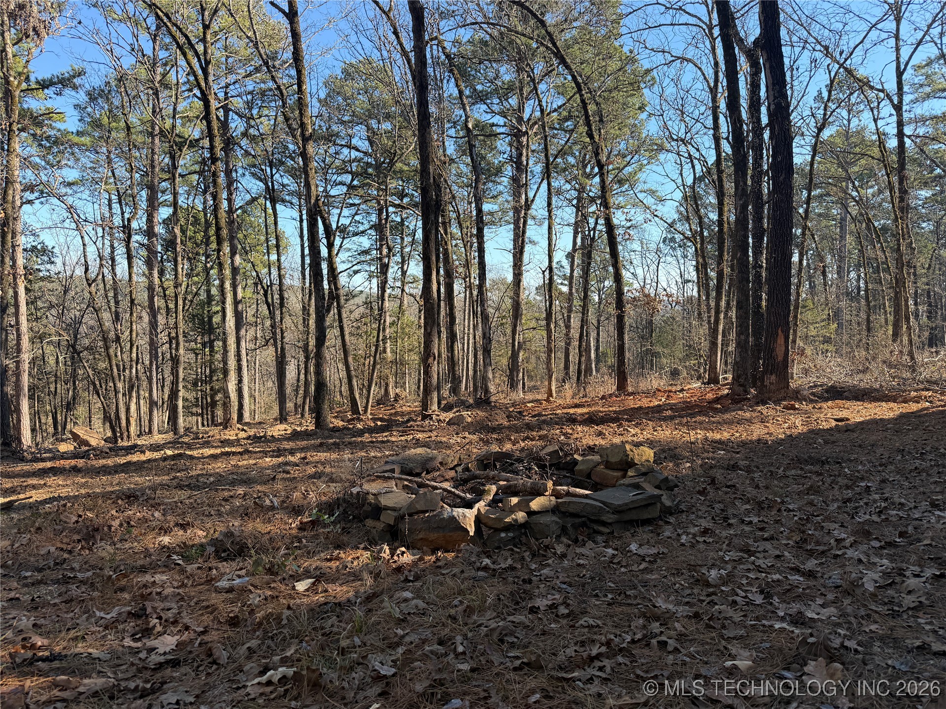 4 Goats Bluff Road Wister OK 74966