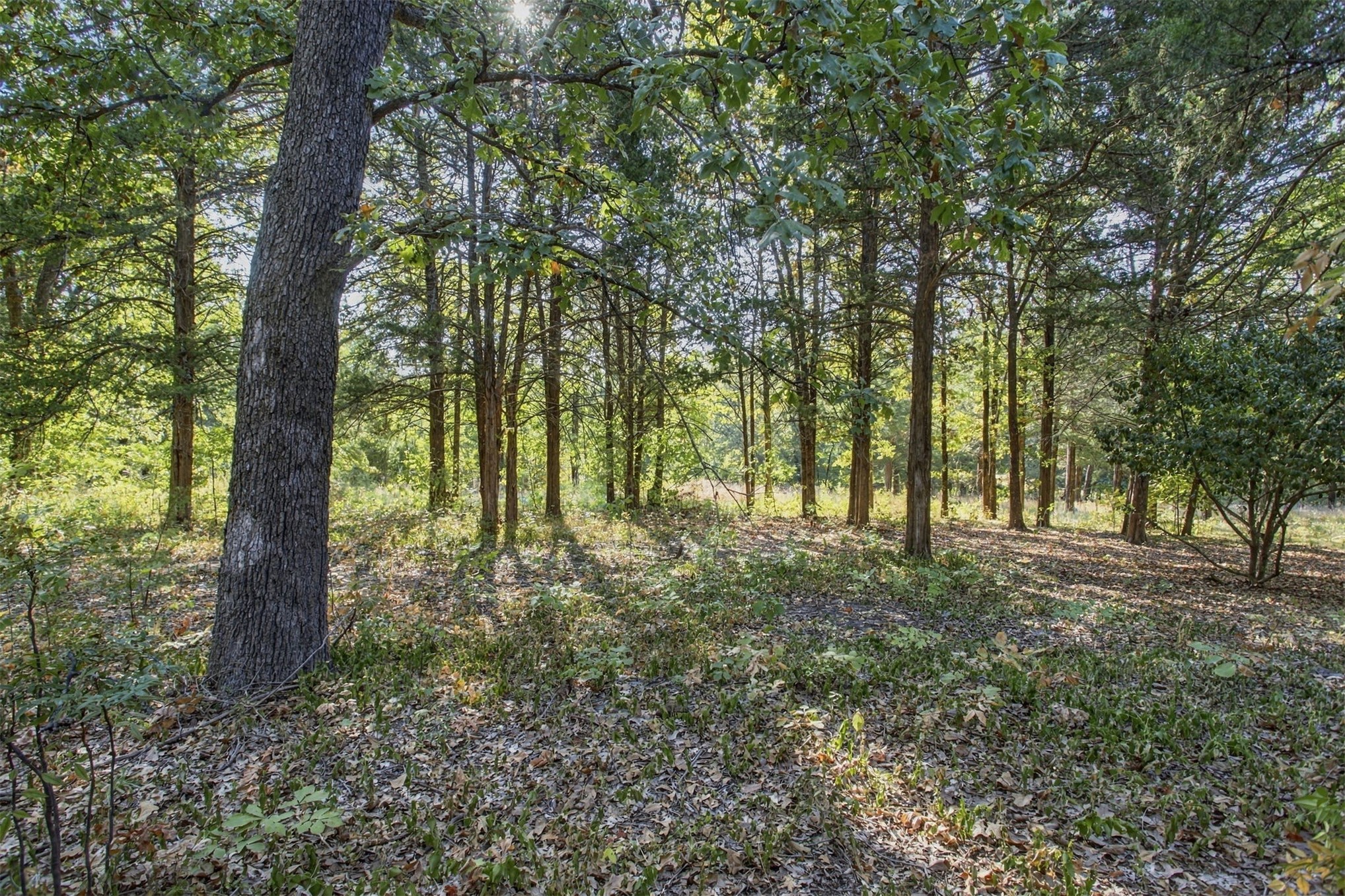 113 Vanzandt Mead OK 73449
