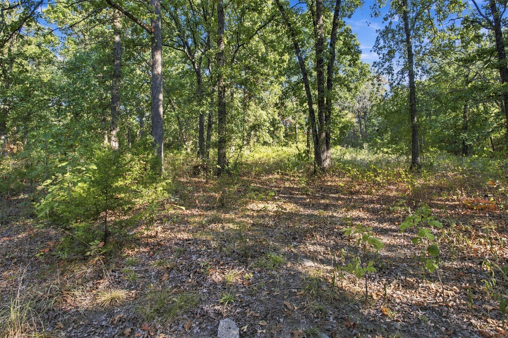 113 Vanzandt Mead OK 73449