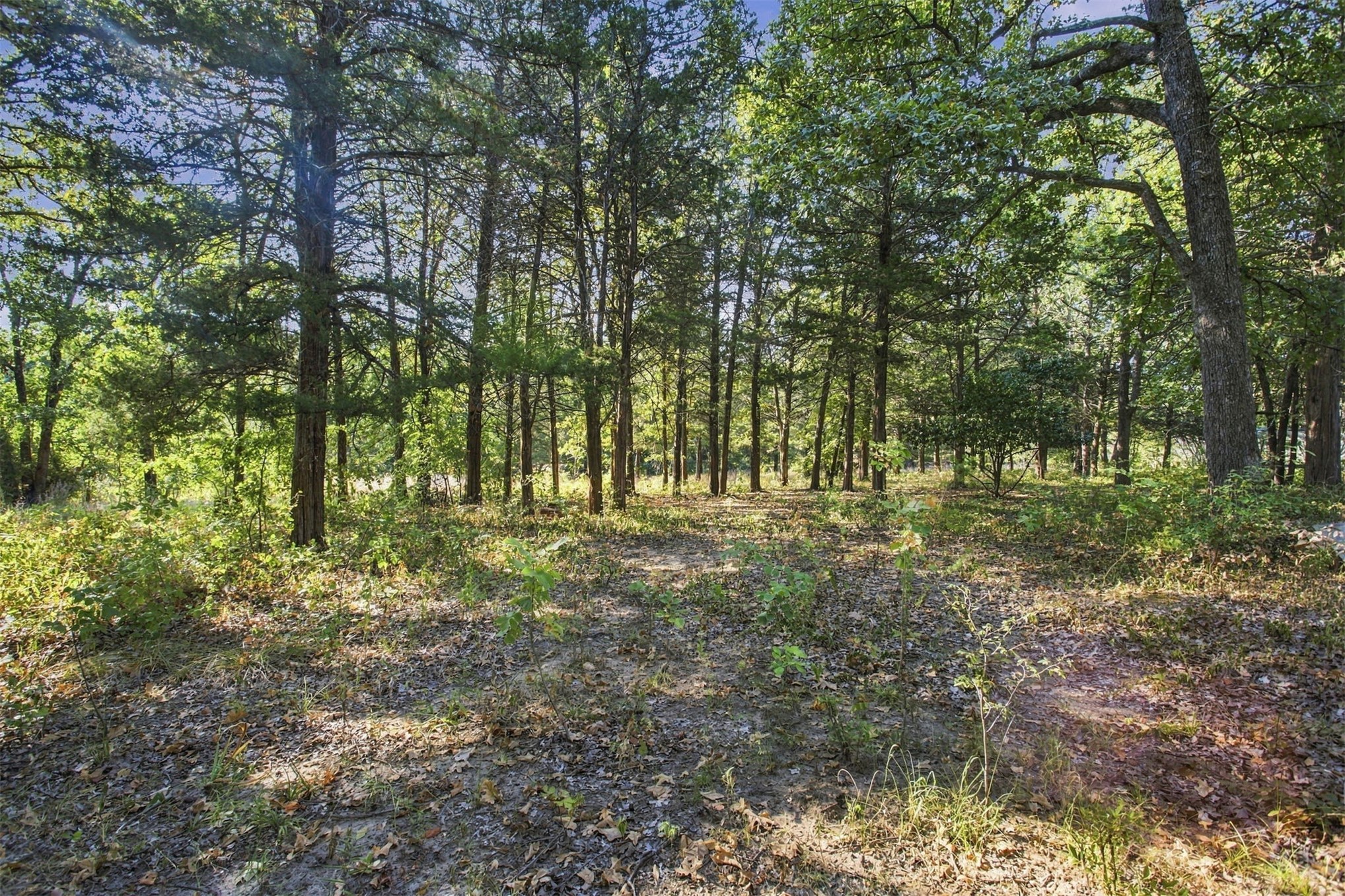 113 Vanzandt Mead OK 73449