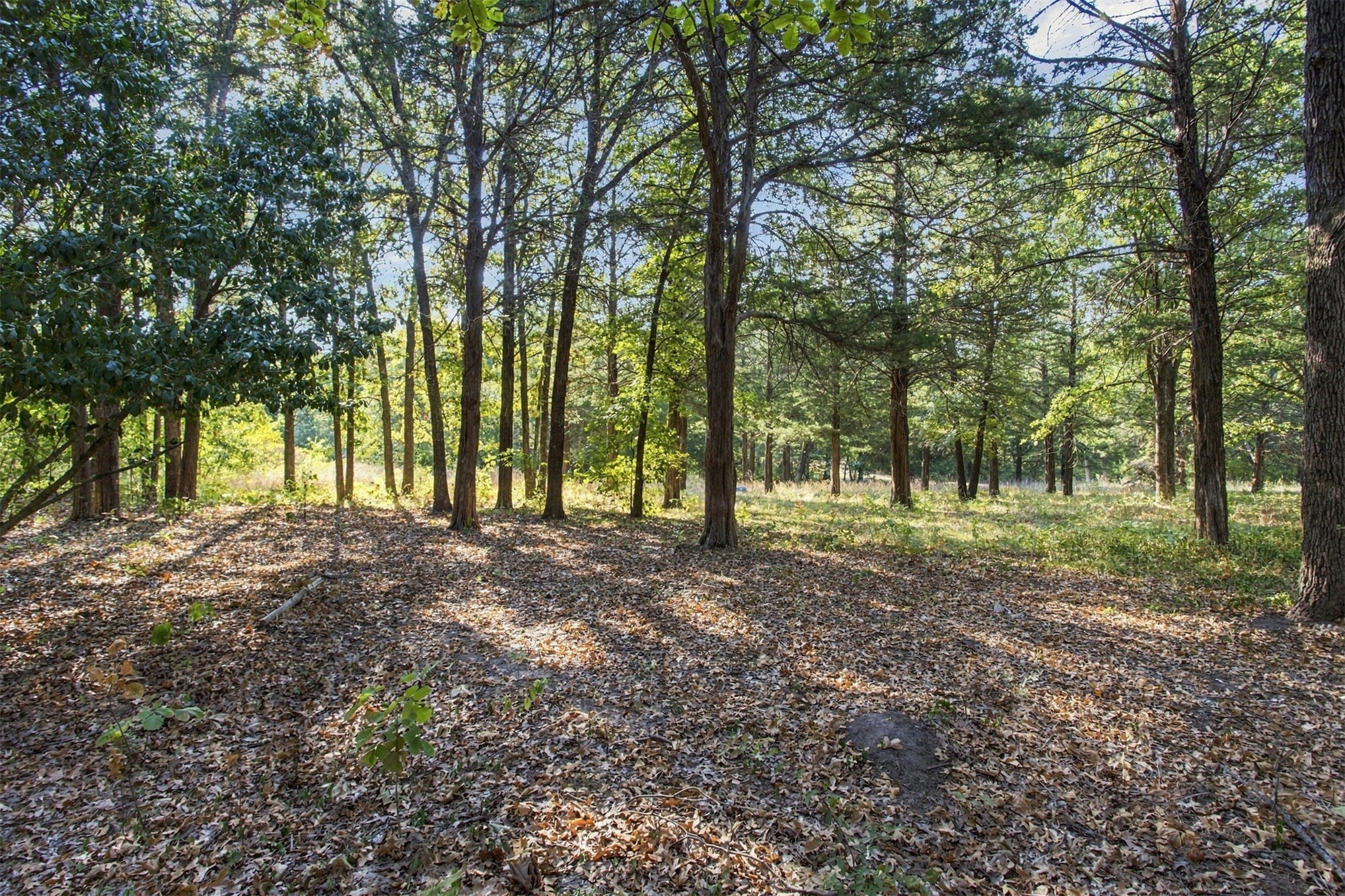 113 Vanzandt Mead OK 73449