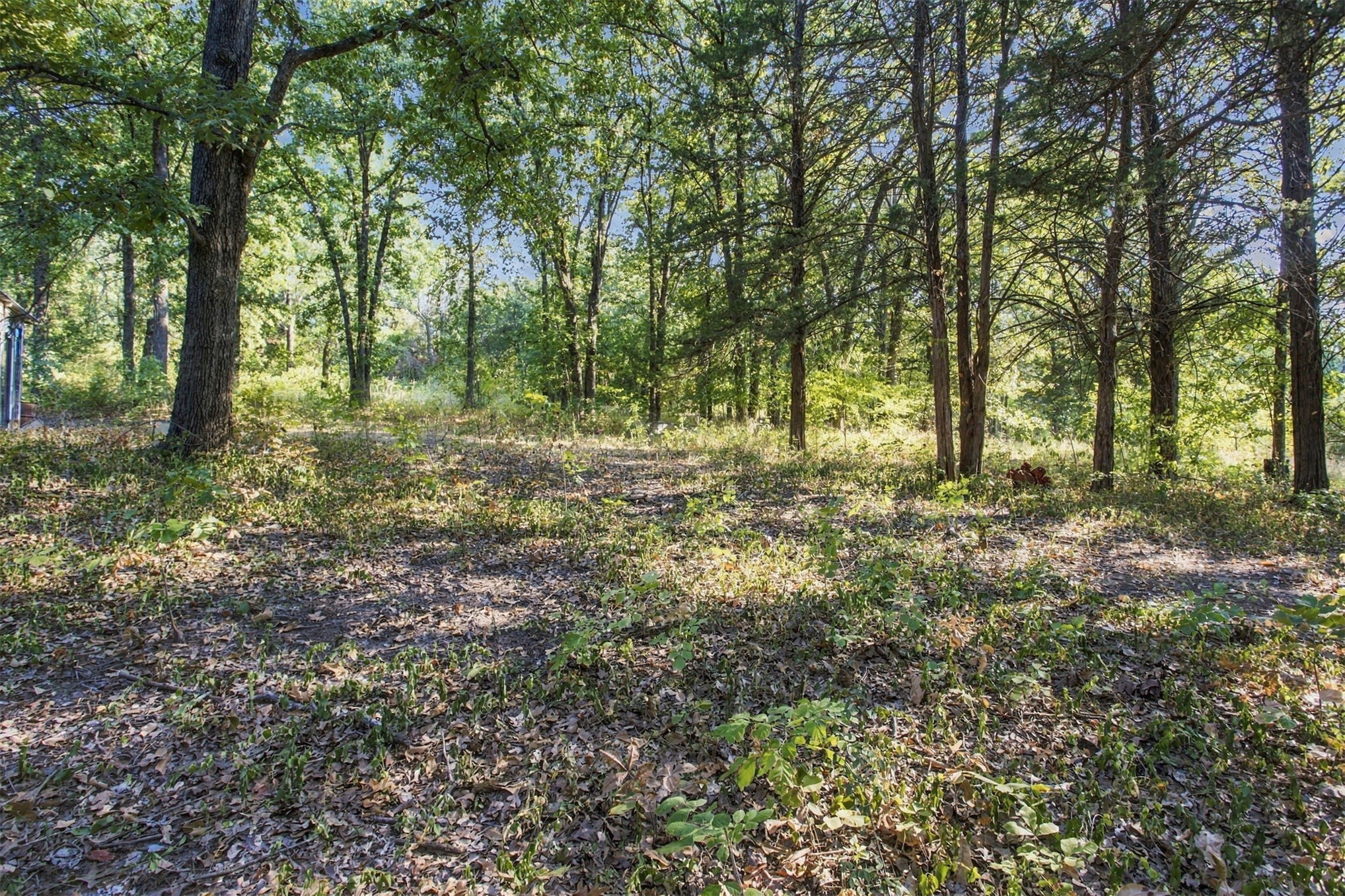 113 Vanzandt Mead OK 73449