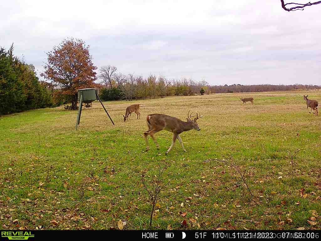 3 Shady Grove Bennington OK 74723