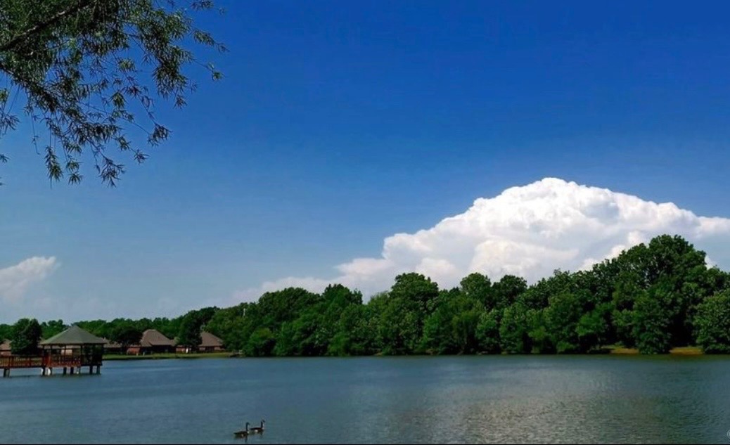 26655 Duck Pond Lane Claremore OK 74019