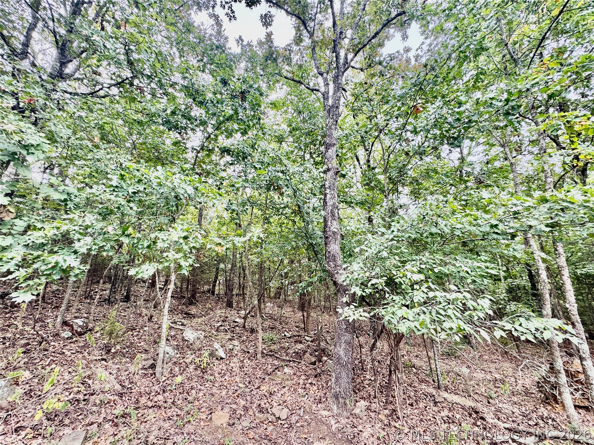 29410 S Redbird Lane Park Hill OK 74451