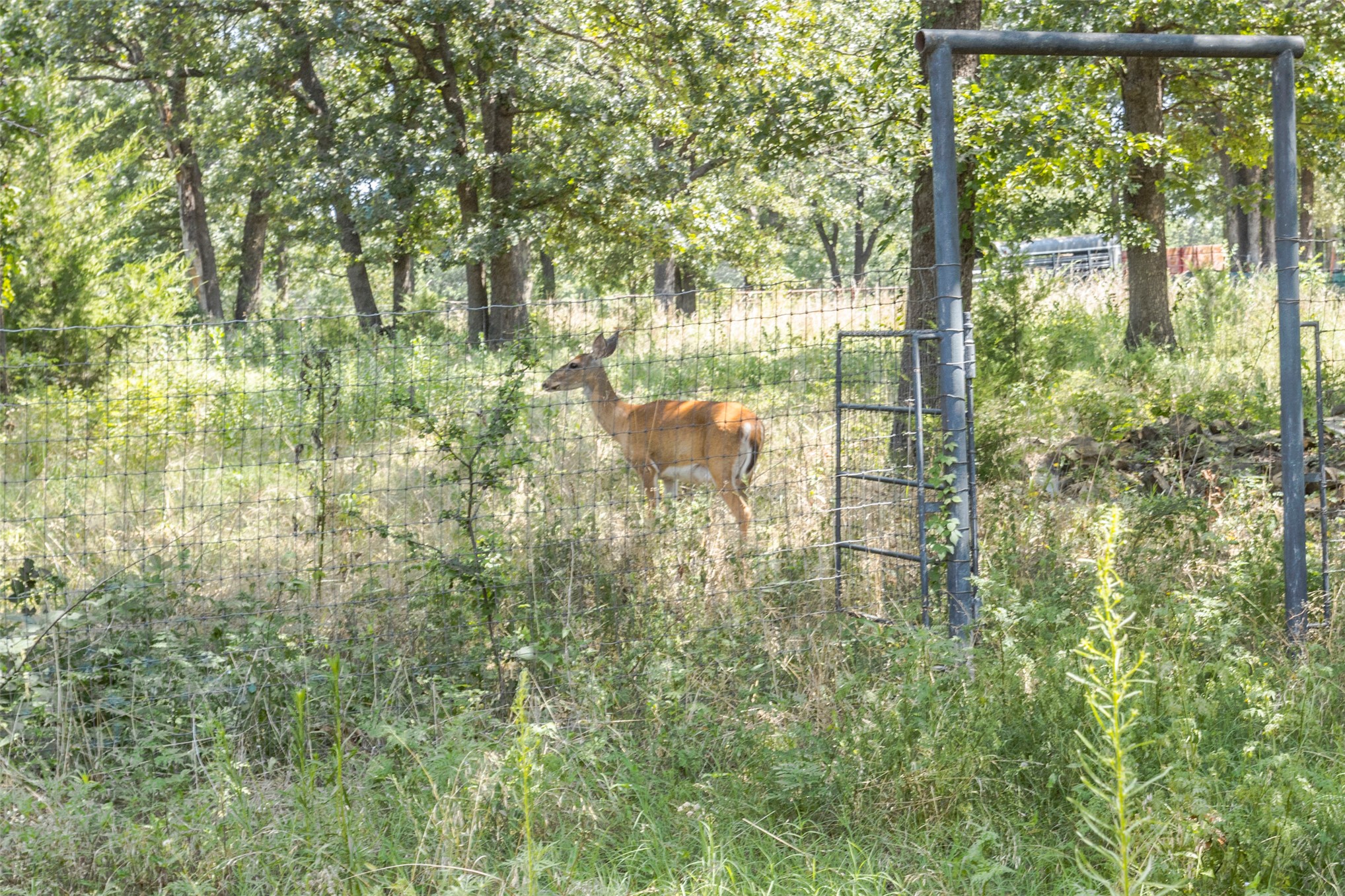 347368 E 800 Road Cushing OK 74023