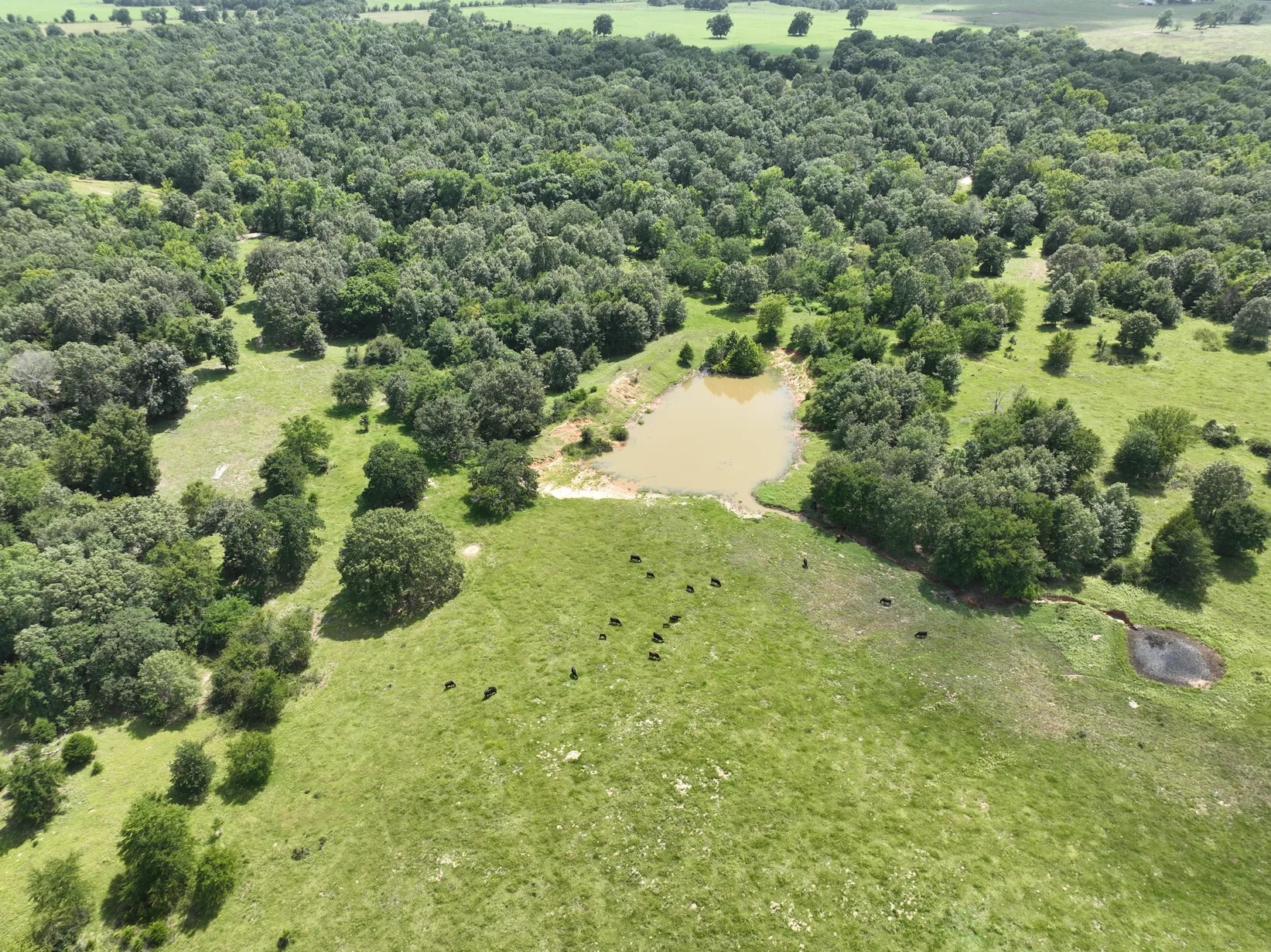 107 N 4020 Road Boswell OK 74727