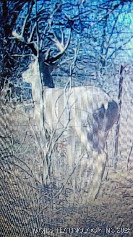 6475 4210 Road Chelsea OK 74016