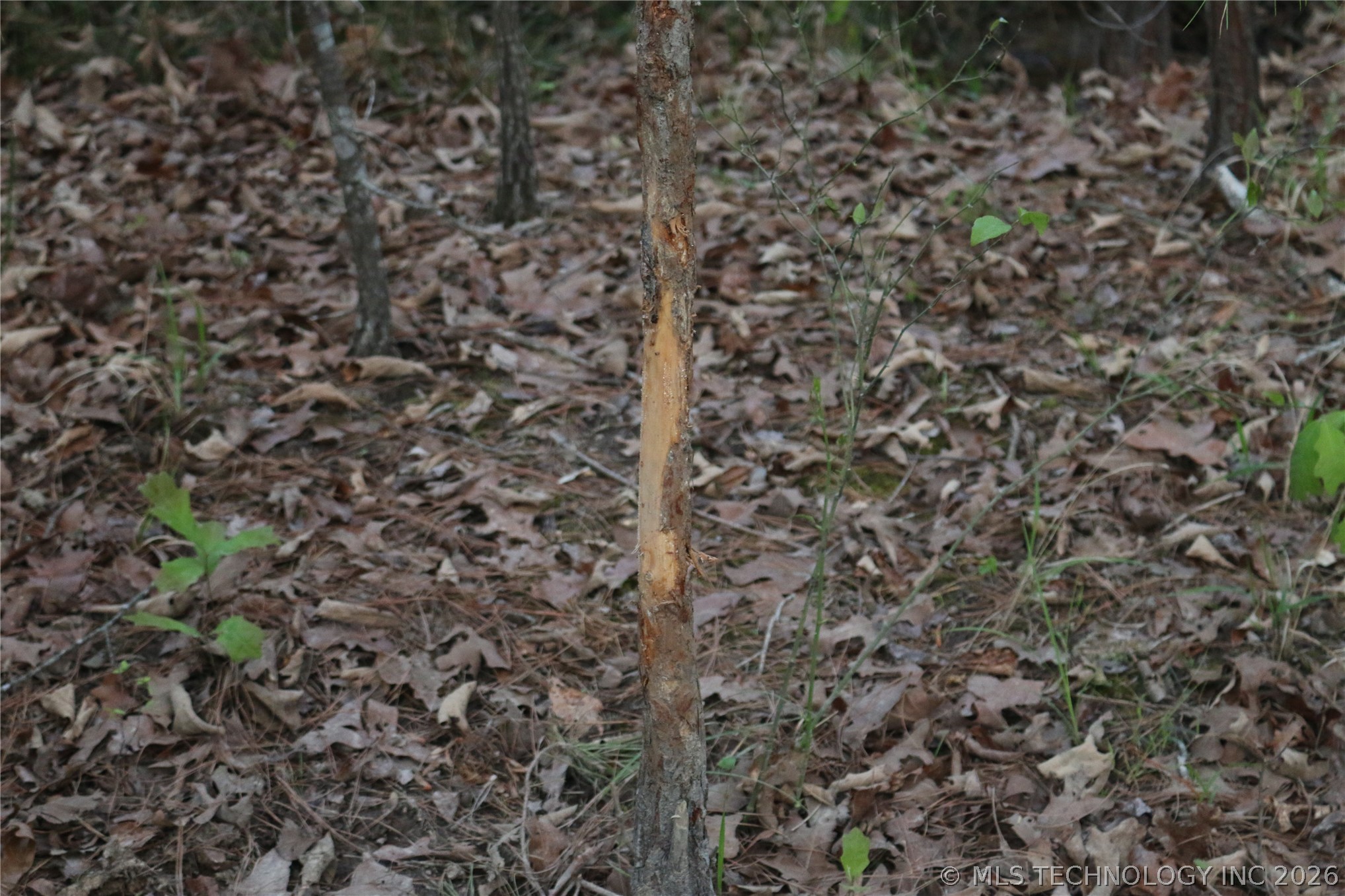496 Wyr 56746 Road Broken Bow OK 74728