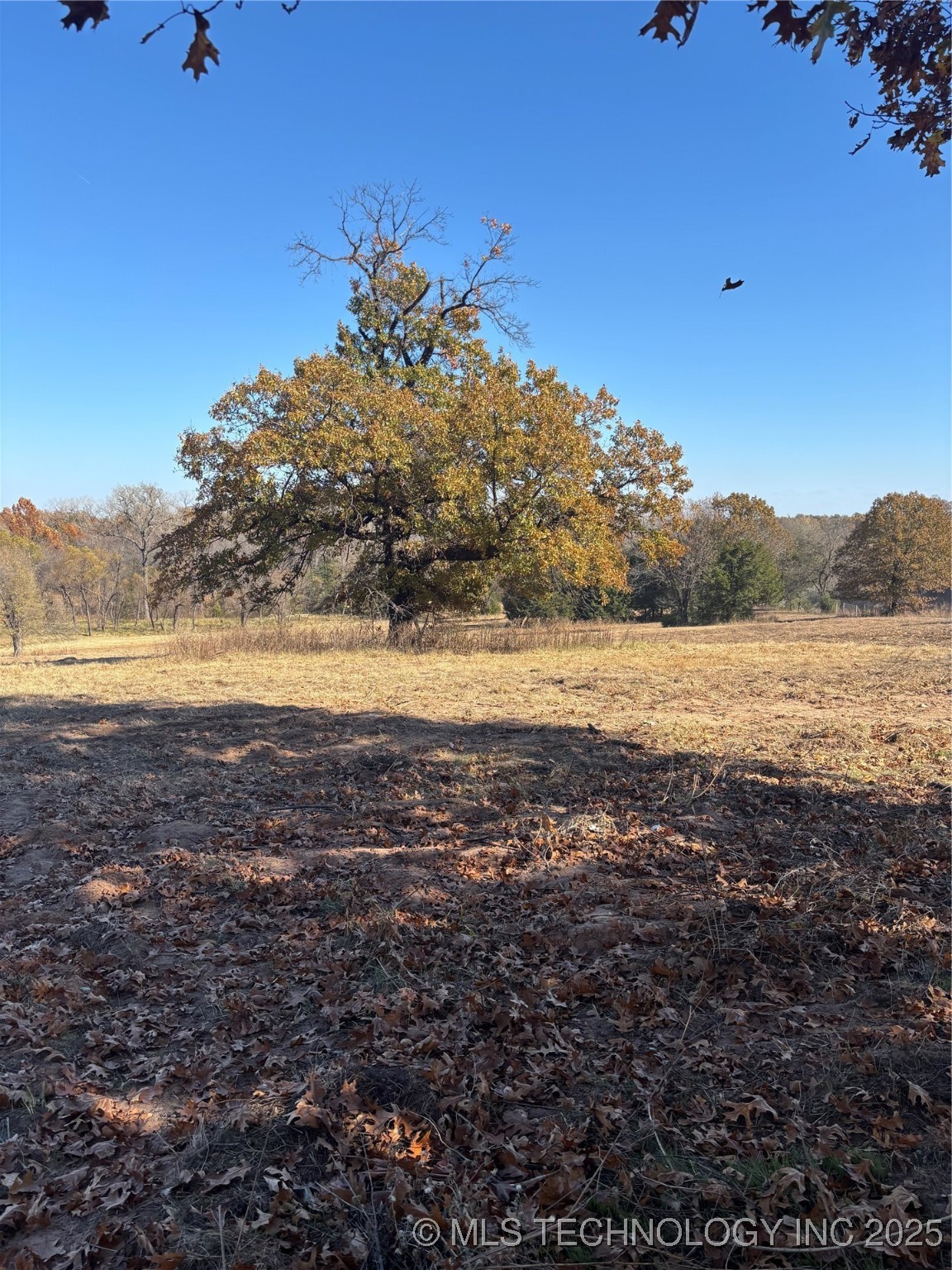 3113 S Twin Mounds Street Yale OK 74085
