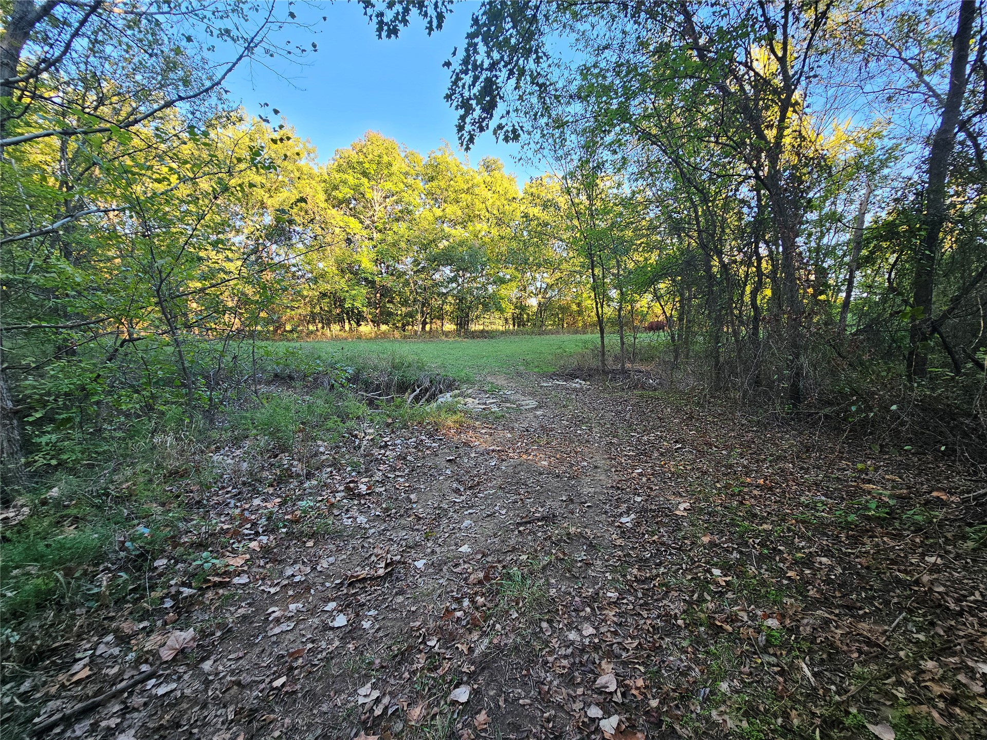 18402 E 335 Road Chelsea OK 74016