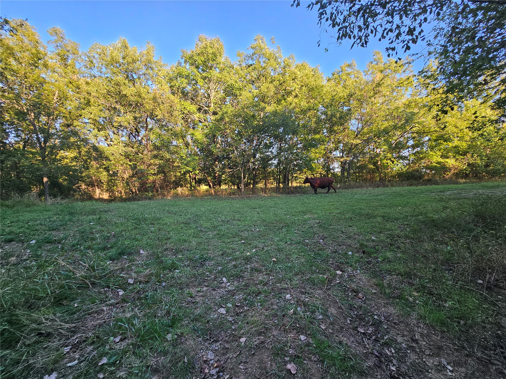 18402 E 335 Road Chelsea OK 74016