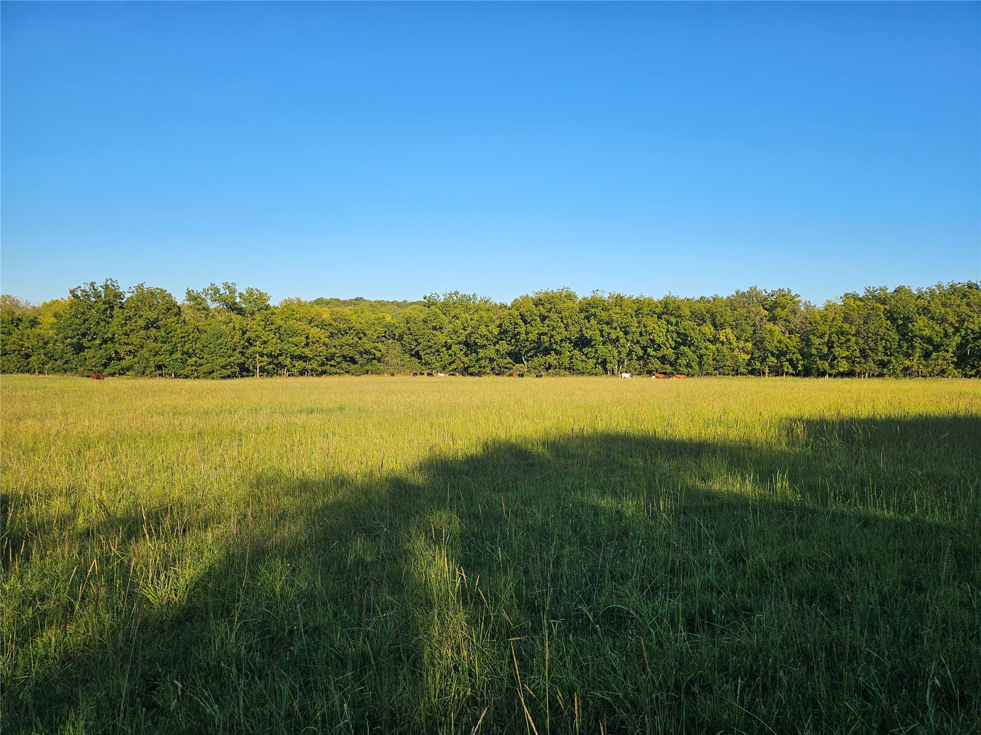 18402 E 335 Road Chelsea OK 74016