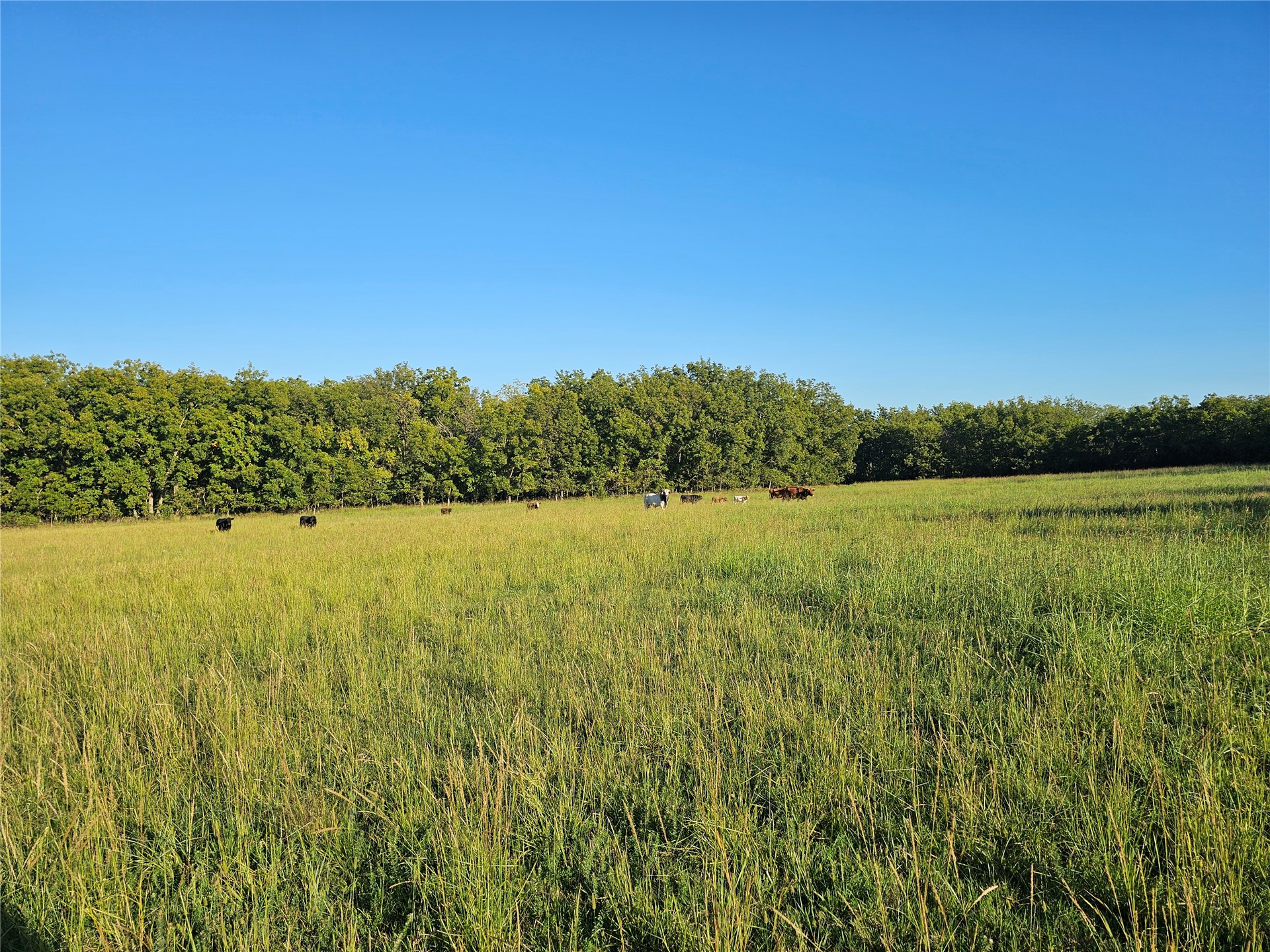 18402 E 335 Road Chelsea OK 74016