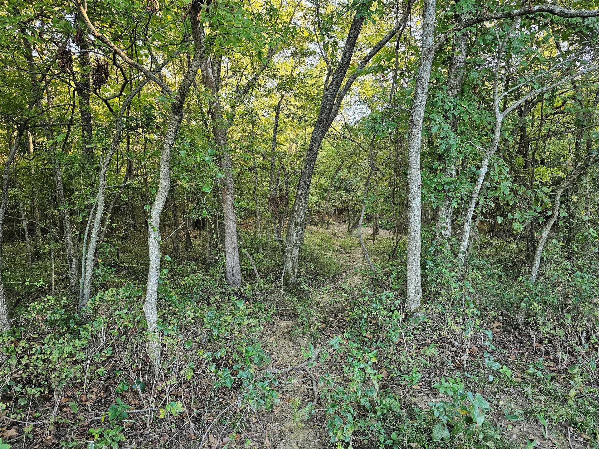 18402 E 335 Road Chelsea OK 74016