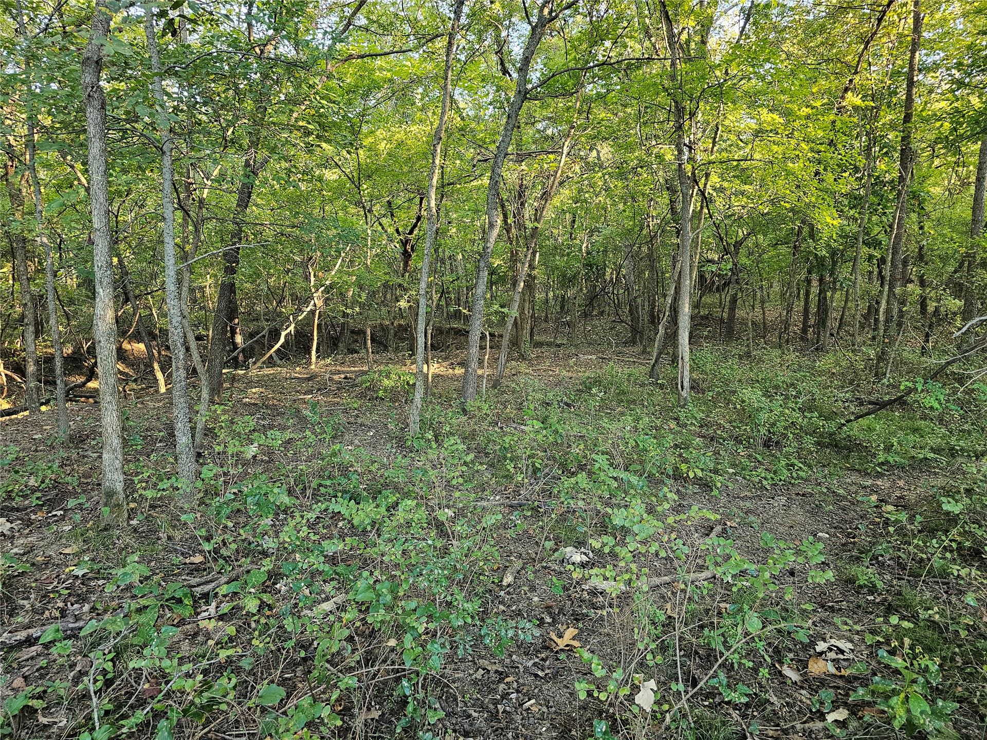 18402 E 335 Road Chelsea OK 74016