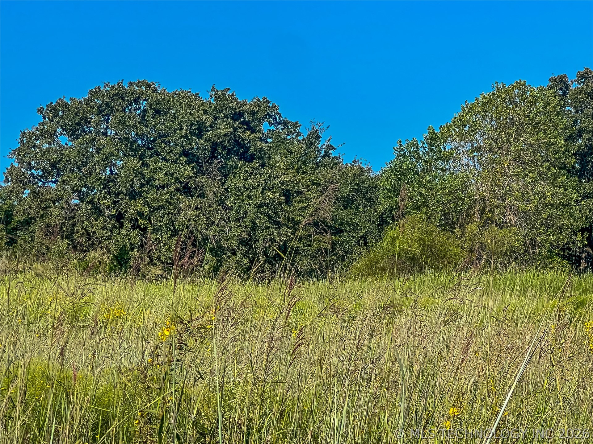 165175 N 3020 Road Foster OK 73434