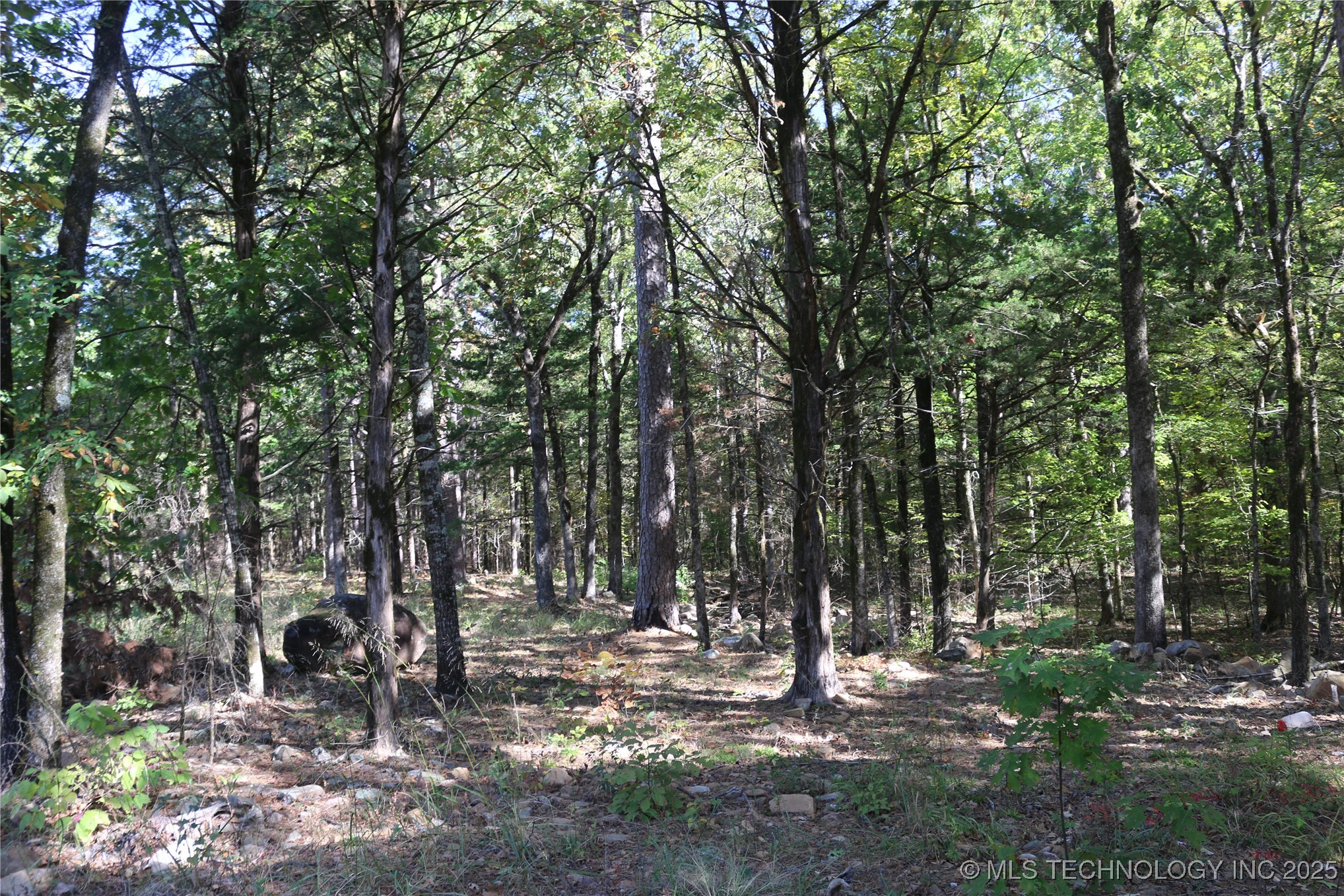 61216 Patterson Lane Hodgen OK 74939