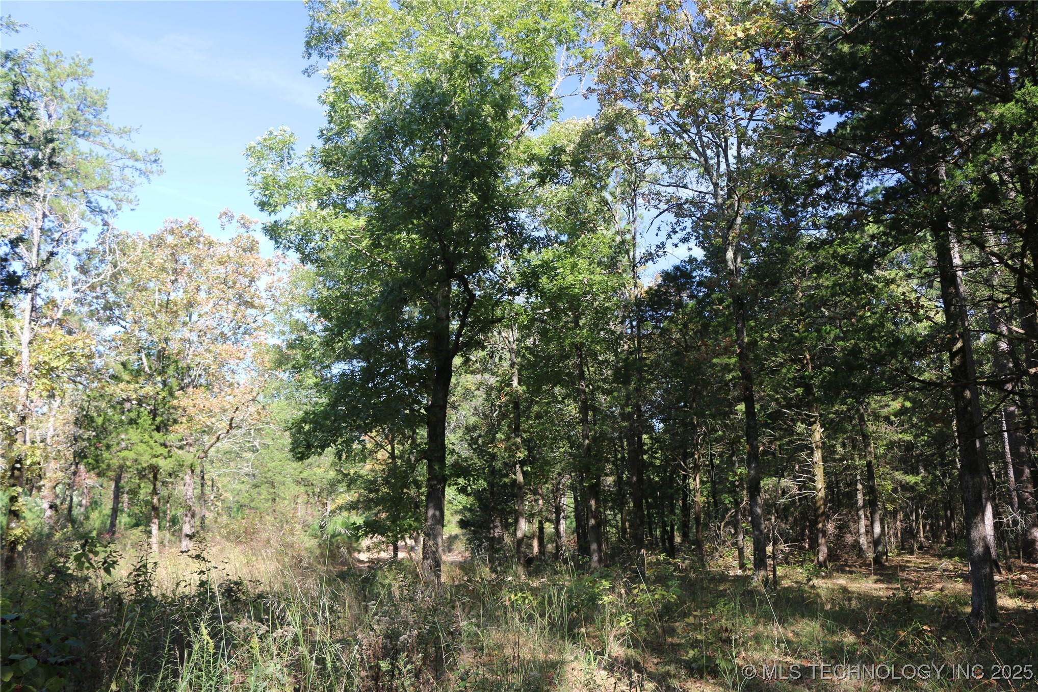 61216 Patterson Lane Hodgen OK 74939