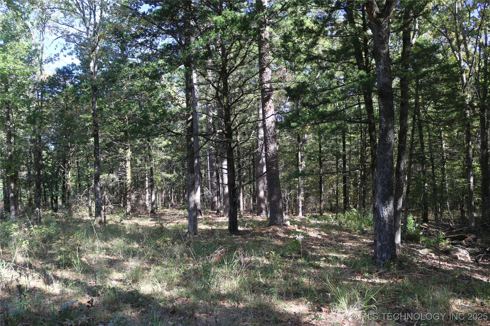 61216 Patterson Lane Hodgen OK 74939