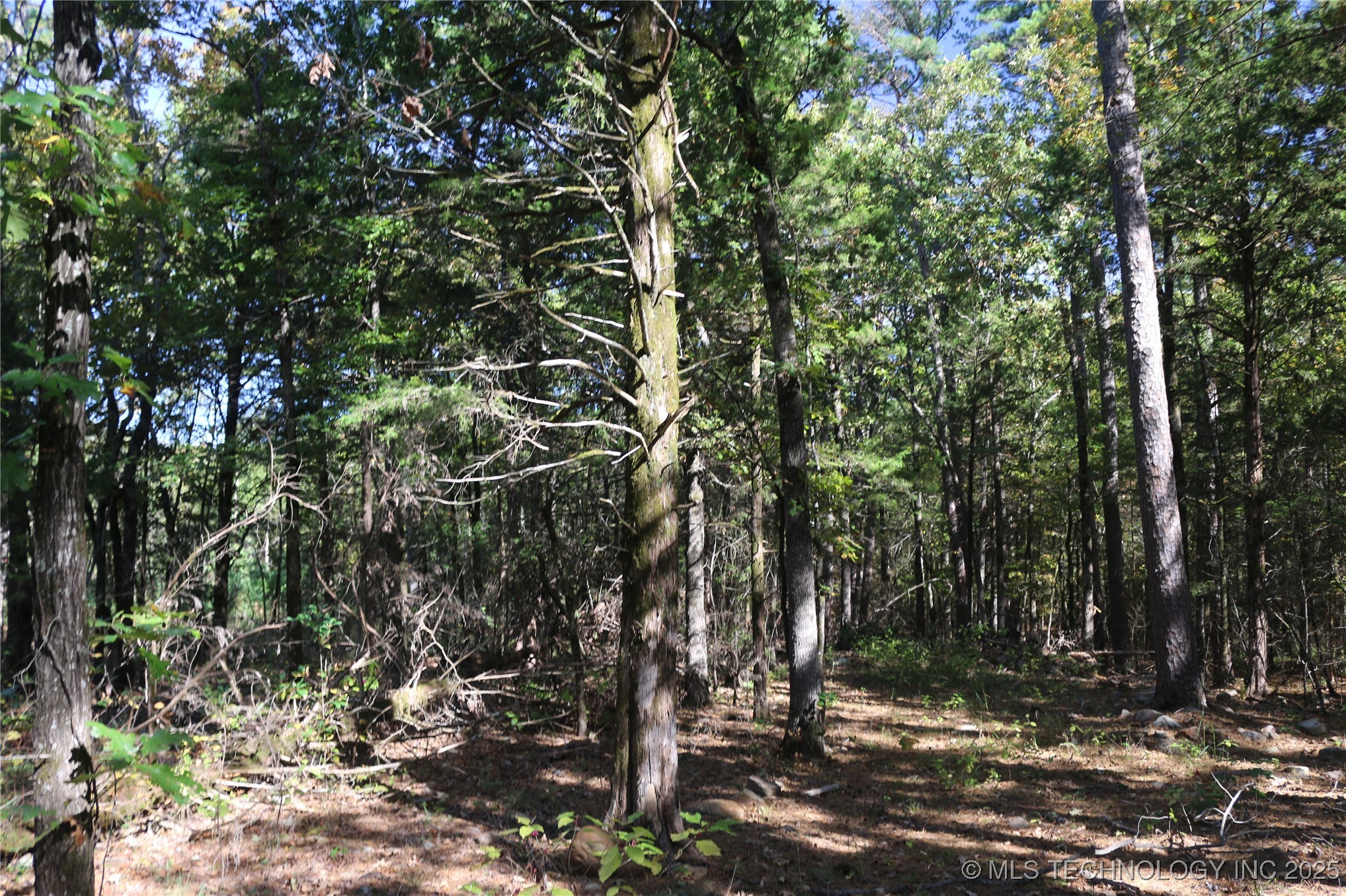 61216 Patterson Lane Hodgen OK 74939