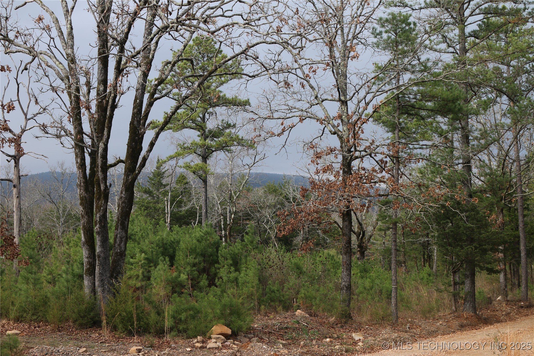 61216 Patterson Lane Hodgen OK 74939