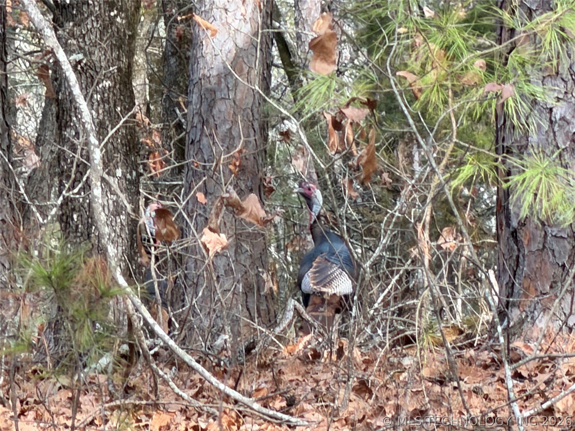 386 NE A Antlers OK 74523