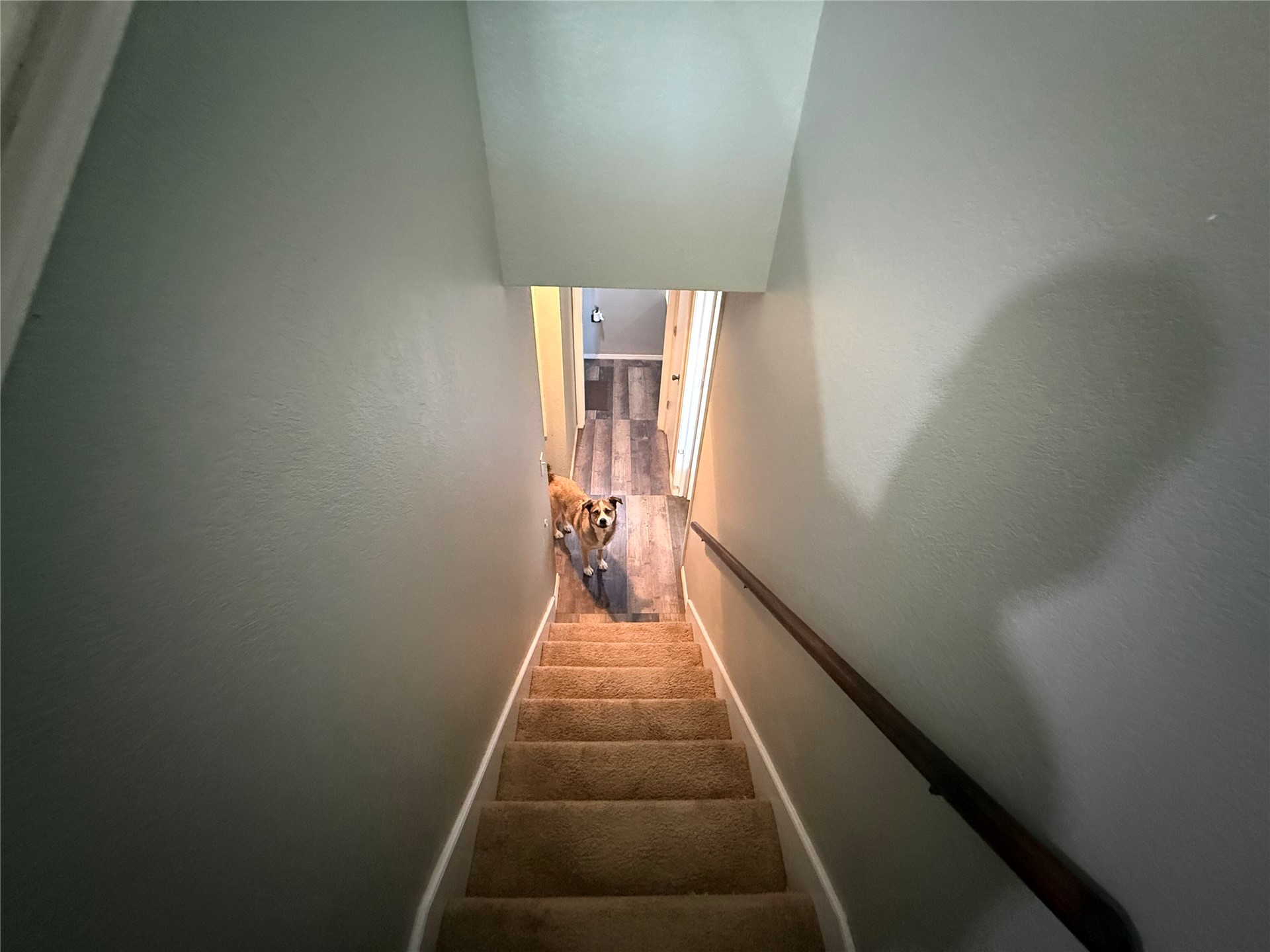 18247 W Running Springs Park Hill OK 74451