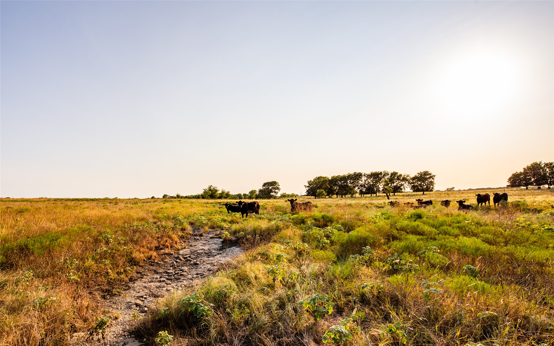 438505 E 370 Road Adair OK 74330