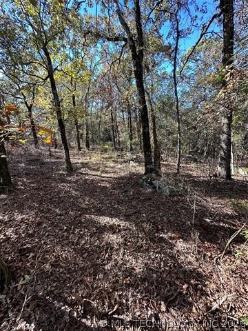 28574 Pocahontas Road Wister OK 74966