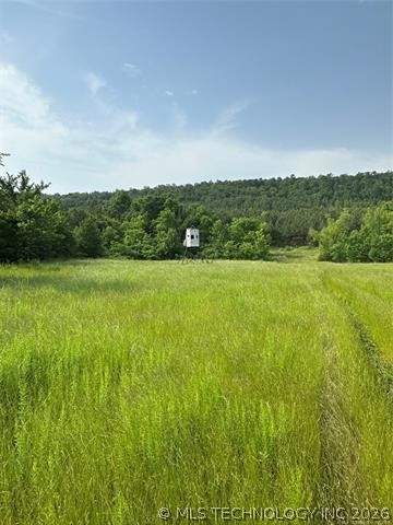 28574 Pocahontas Road Wister OK 74966