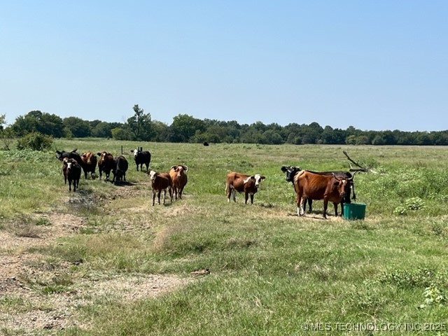 18425 S 270 Road Morris OK 74445