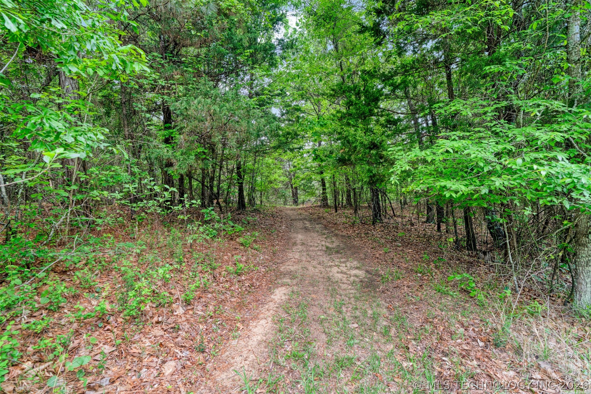 3546 E 2000 Road Sawyer OK 74743