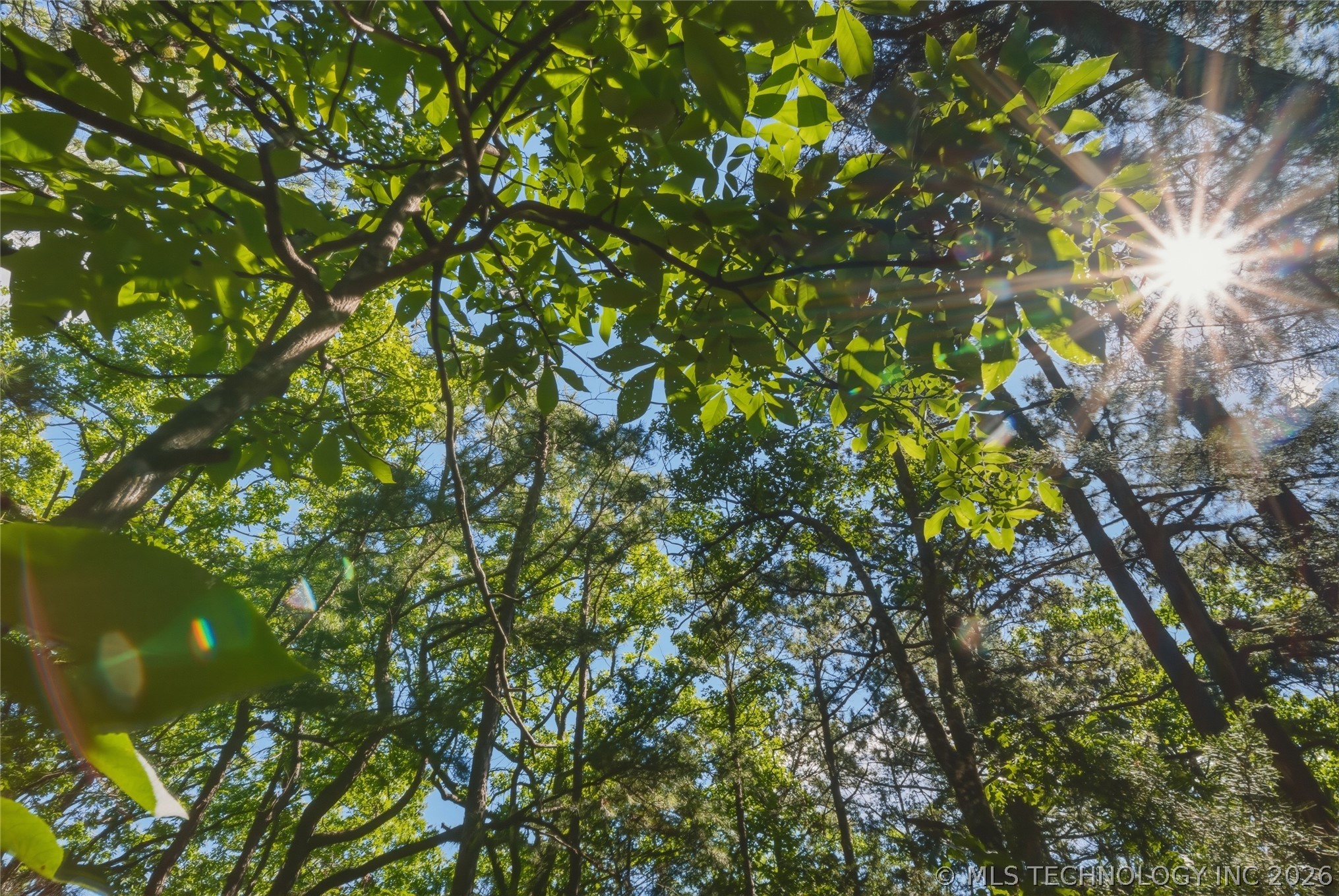 44374 509 Street Talihina OK 74571