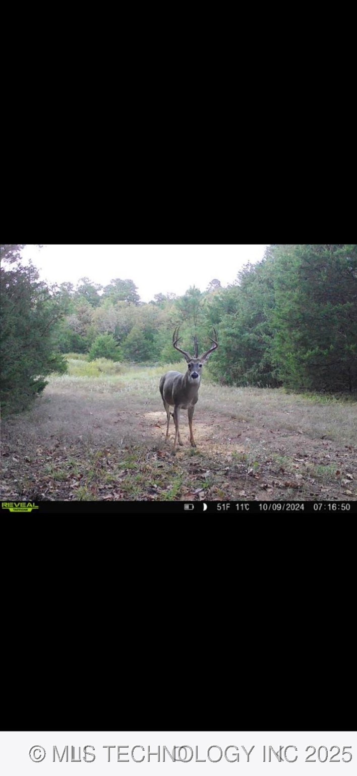 3340 SE 1083 Road Red Oak OK 74563