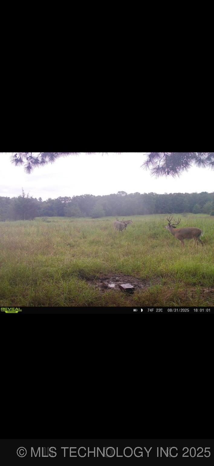 3340 SE 1083 Road Red Oak OK 74563