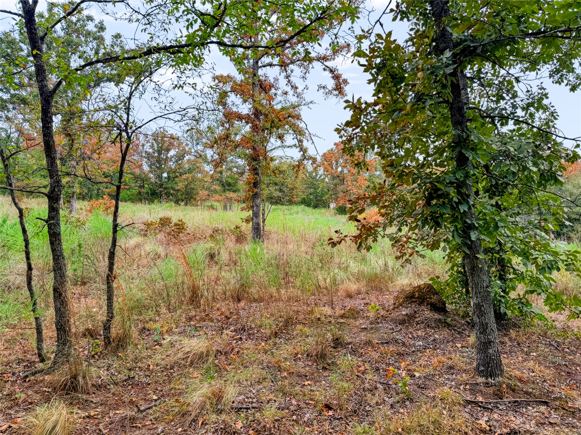 3607 S Half Bank Road Atoka OK 74525