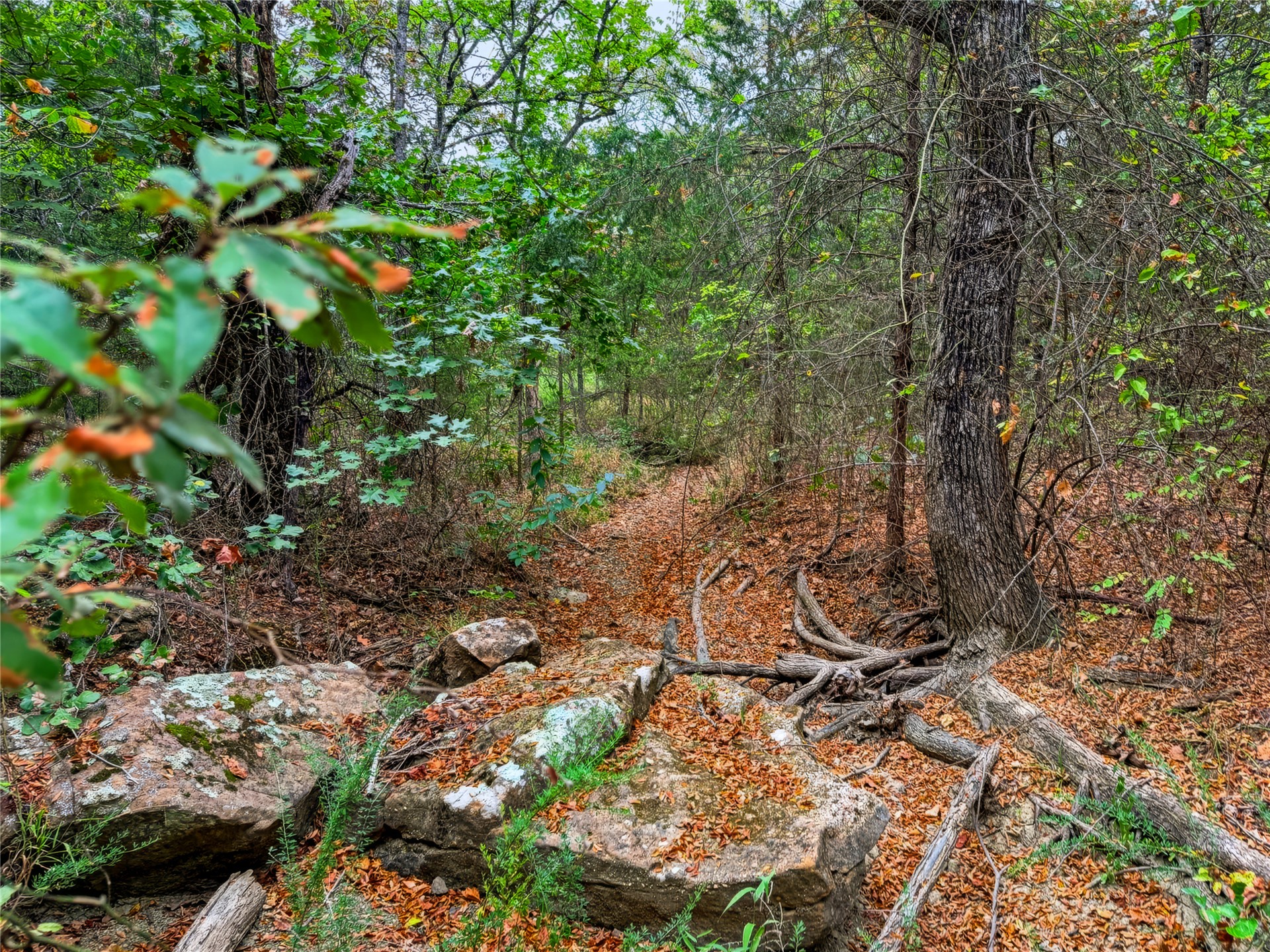 3607 S Half Bank Road Atoka OK 74525