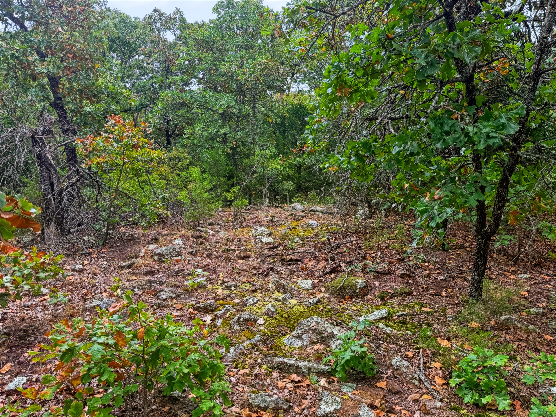 3607 S Half Bank Road Atoka OK 74525