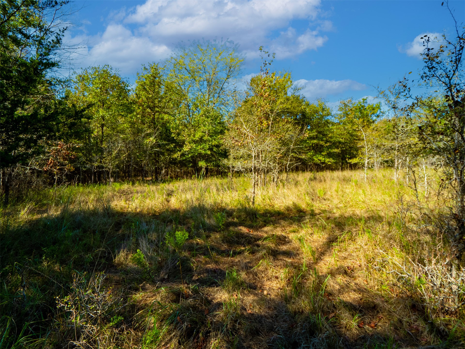 1599 N 4010 Road Boswell OK 74727