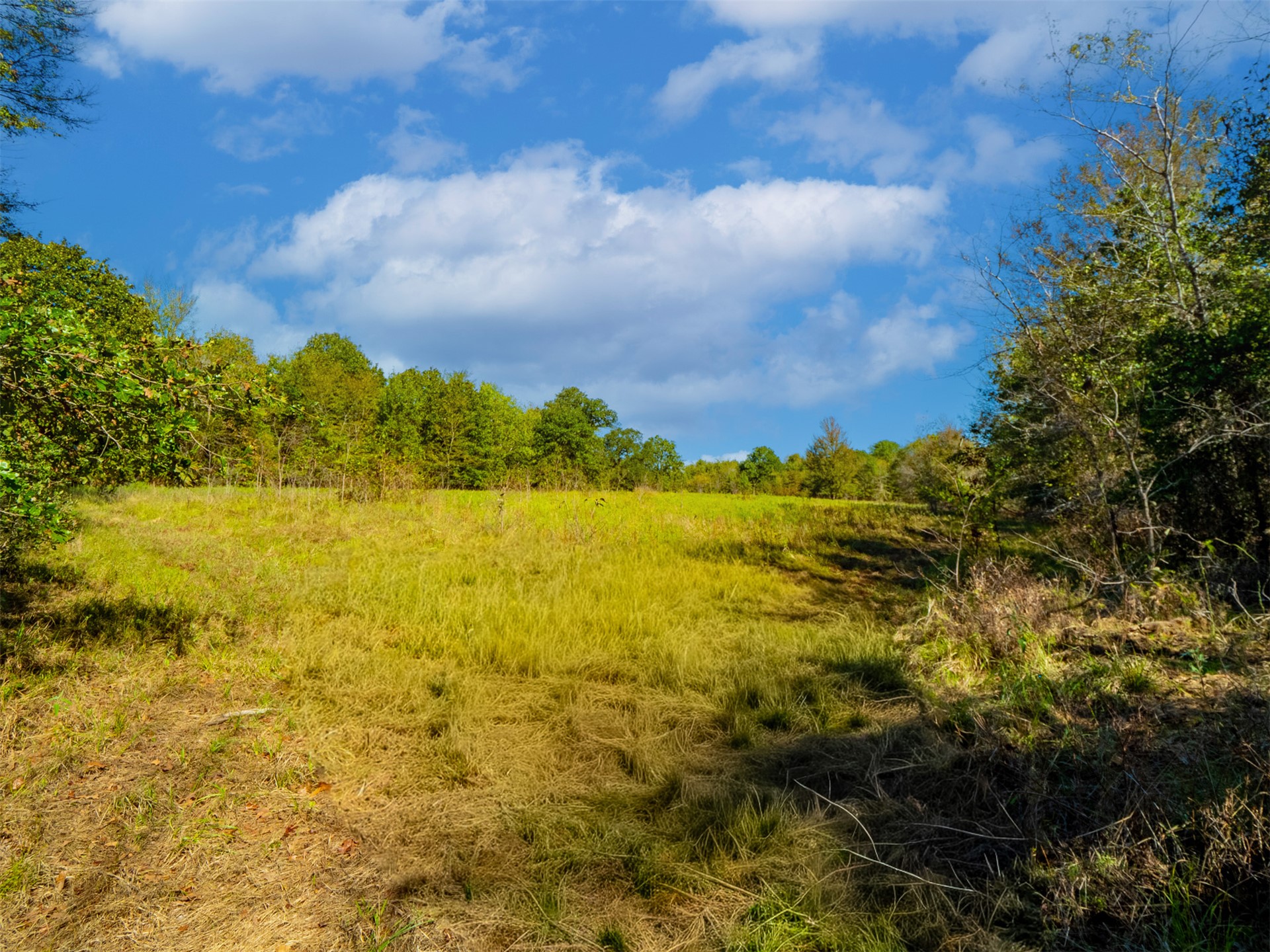 1599 N 4010 Road Boswell OK 74727